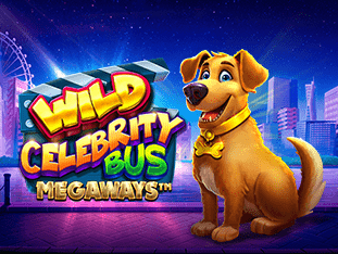 Wild Celebrity Bus Megaways game thumbnail